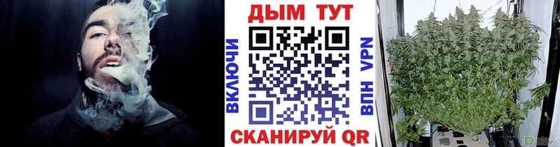 Бошки Шишки Лодейное Поле