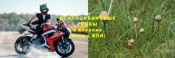спайс Алзамай